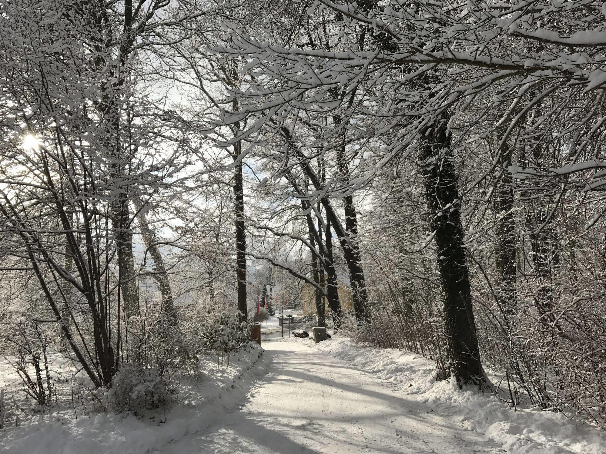 Turmvilla Bad Muskau Εξωτερικό φωτογραφία